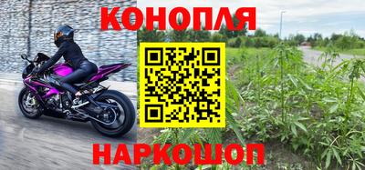 гидра Будённовск