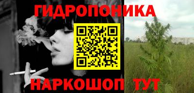 гидра Будённовск
