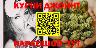 гидра Будённовск