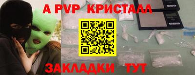 гидра Будённовск