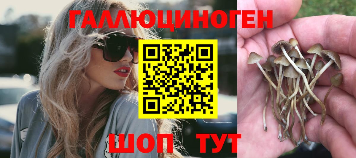 Псилоцибиновые грибы Cubensis  купить наркотики сайты  Заречный  Вход с VPN 